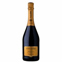 prosecco docg valdobbiadene valdo cuvee de boj brut