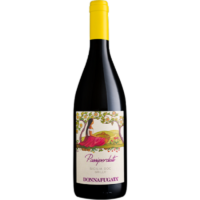 vino bianco siciliano sicilia donnafugata passiperduti passi perduti grillo