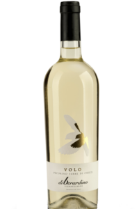 vino bianco abruzzo vignavolando volo pecorino igt terre di chieti