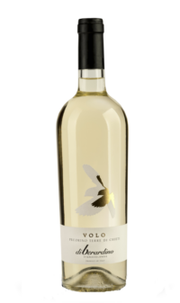vino bianco abruzzo vignavolando volo pecorino igt terre di chieti