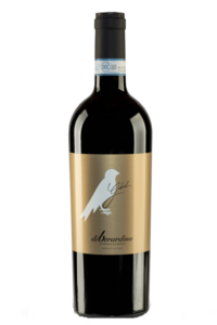 vino rosso abruzzo vignavolando gabriel montepulciano d'abruzzo doc riserva