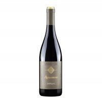 vino rosso sicilia cantine paolini nero d'avola appassimento igt