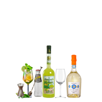 box aperitivo perfetto limoncello spritz amici patatine spumante soda arachidi bicchieri ricetta limoncello distillerie russo cantine paolini
